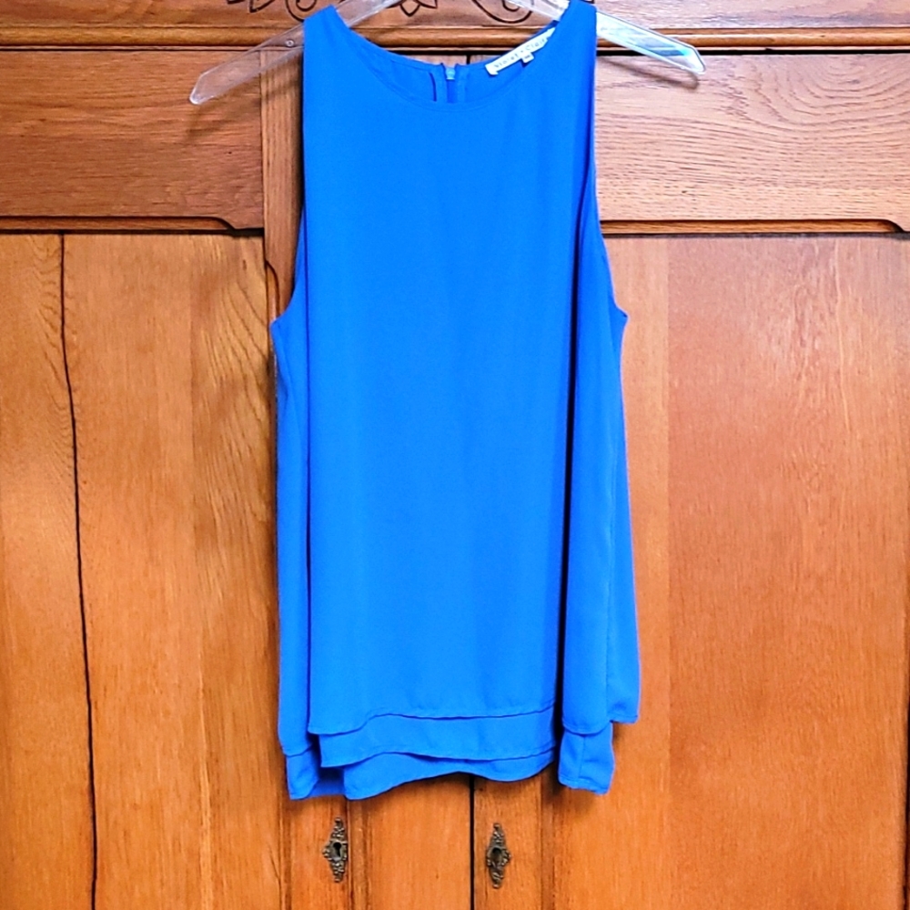 Beautiful blue sleeveless blouse.